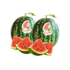 Dưa hấu Babylon (1,5 - 1,7Kg/Trái) - I0016339