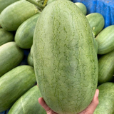  Dưa hấu đường (Size 2.5Kg - 3Kg /Trái) | I0015601 