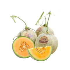 Dưa lưới TL3 Farmers Market