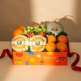  Giỏ Quà Trái Cây Tươi Tone Cam Tiêu Chuẩn 
