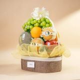  Giỏ Quà Trái Cây Hỗn Hợp Tone Nâu Thanh Lịch 