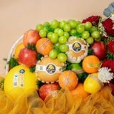  Giỏ Quà Trái Cây Hỗn Hợp Và Hoa Ecuador Đỏ Sang Trọng 