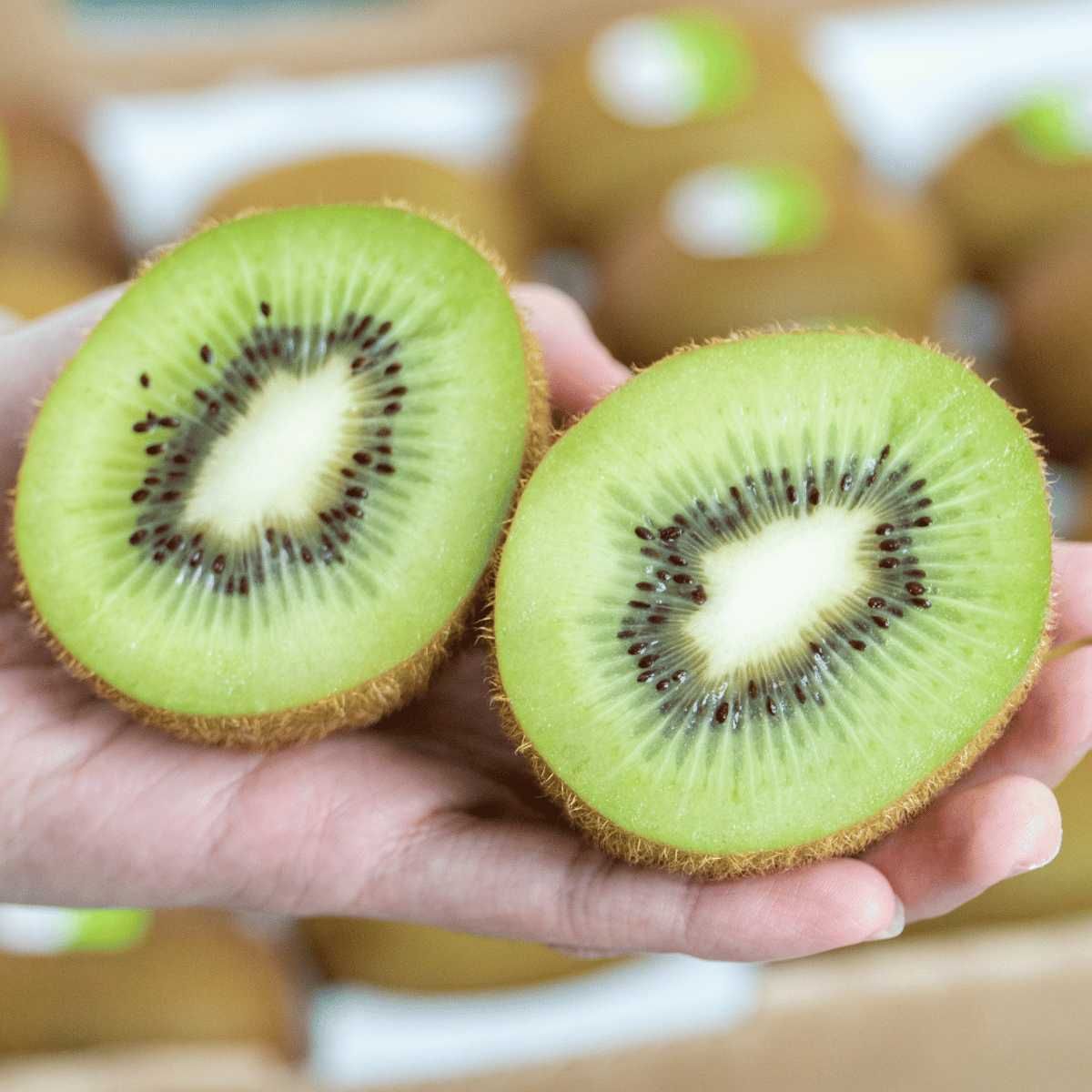  Kiwi Xanh Hữu Cơ NewZealand (4 Trái/Hộp) 