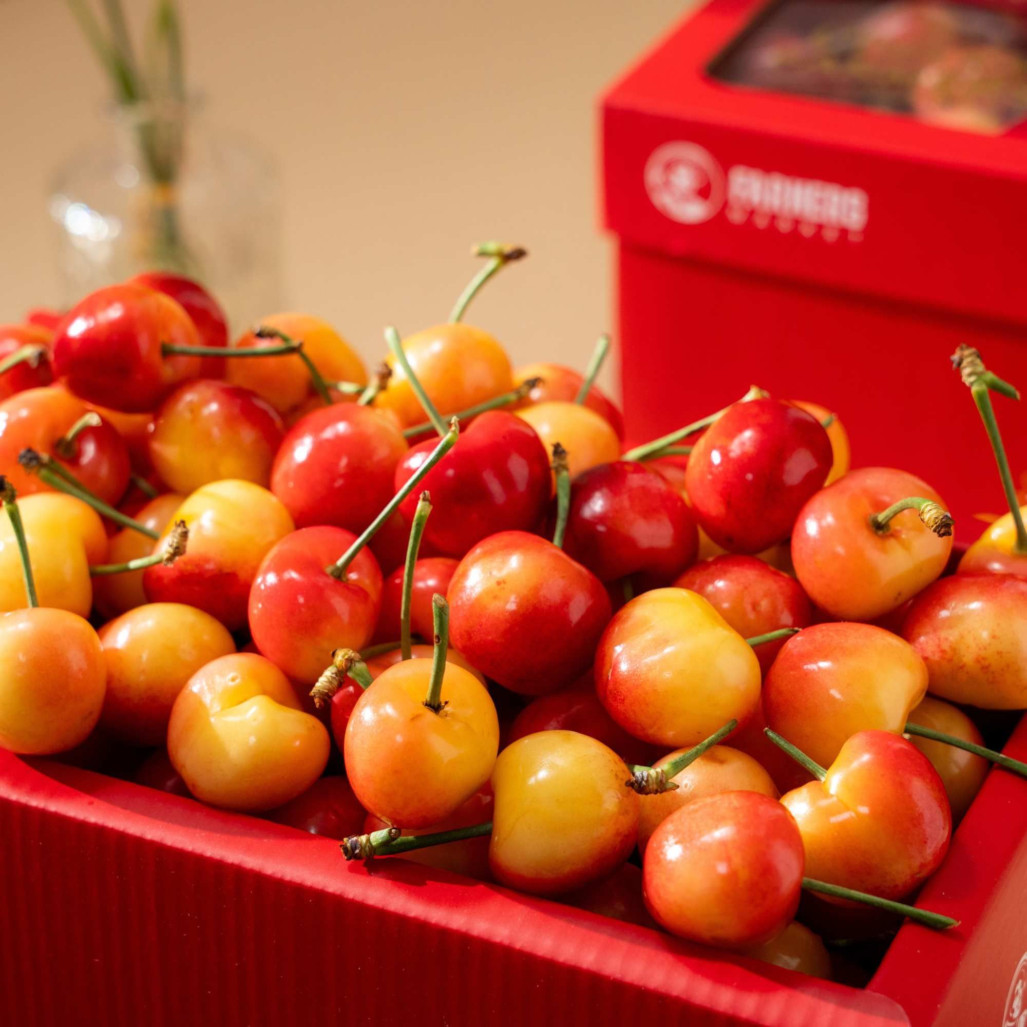  Hộp Quà Cherry Vàng Tone Đỏ Thanh Lịch 