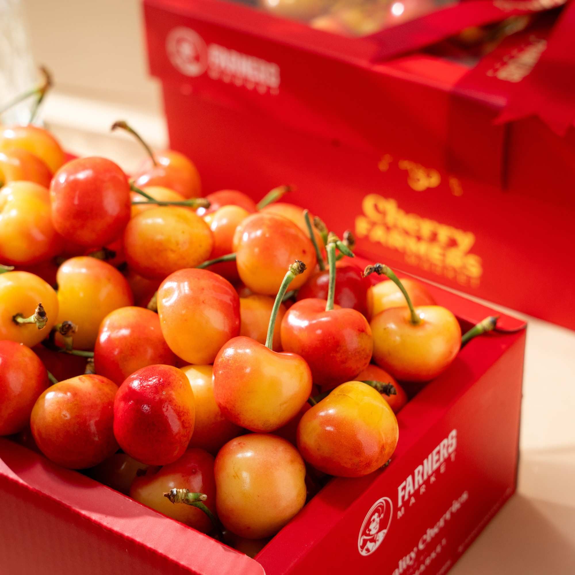  Hộp Quà Cherry Vàng Tone Đỏ Tiêu Chuẩn 