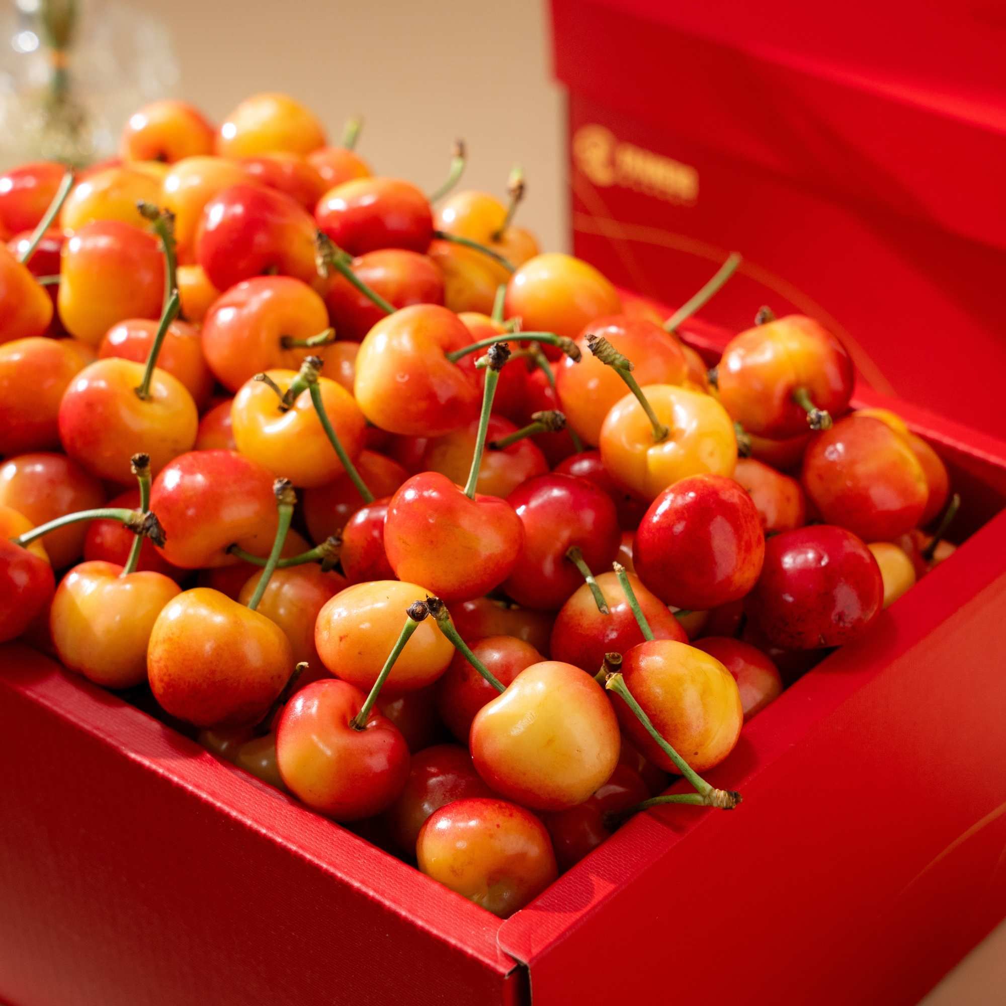  Hộp Quà Cherry Vàng Tone Đỏ Tinh Tế 