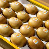  Hộp Quà Kiwi Vàng | Thùng 3.4Kg 