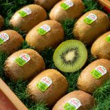  Hộp Quà Kiwi Xanh Hữu Cơ Tone Đỏ Tiêu Chuẩn 