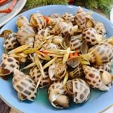  [Đông lạnh] Ốc hương quế Ấn Độ HG 1kg (Size 50 - 80 con/kg) - I0015435 