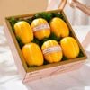 Hộp Quà Dưa Lê Hoàng Kim Hàn Quốc Tone Hồng Tiêu Chuẩn tại Farmers Market