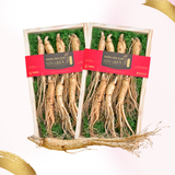  Hộp quà Nhân sâm Hàn Quốc 6 năm tuổi loại 33-55g (7củ) | I0016597 