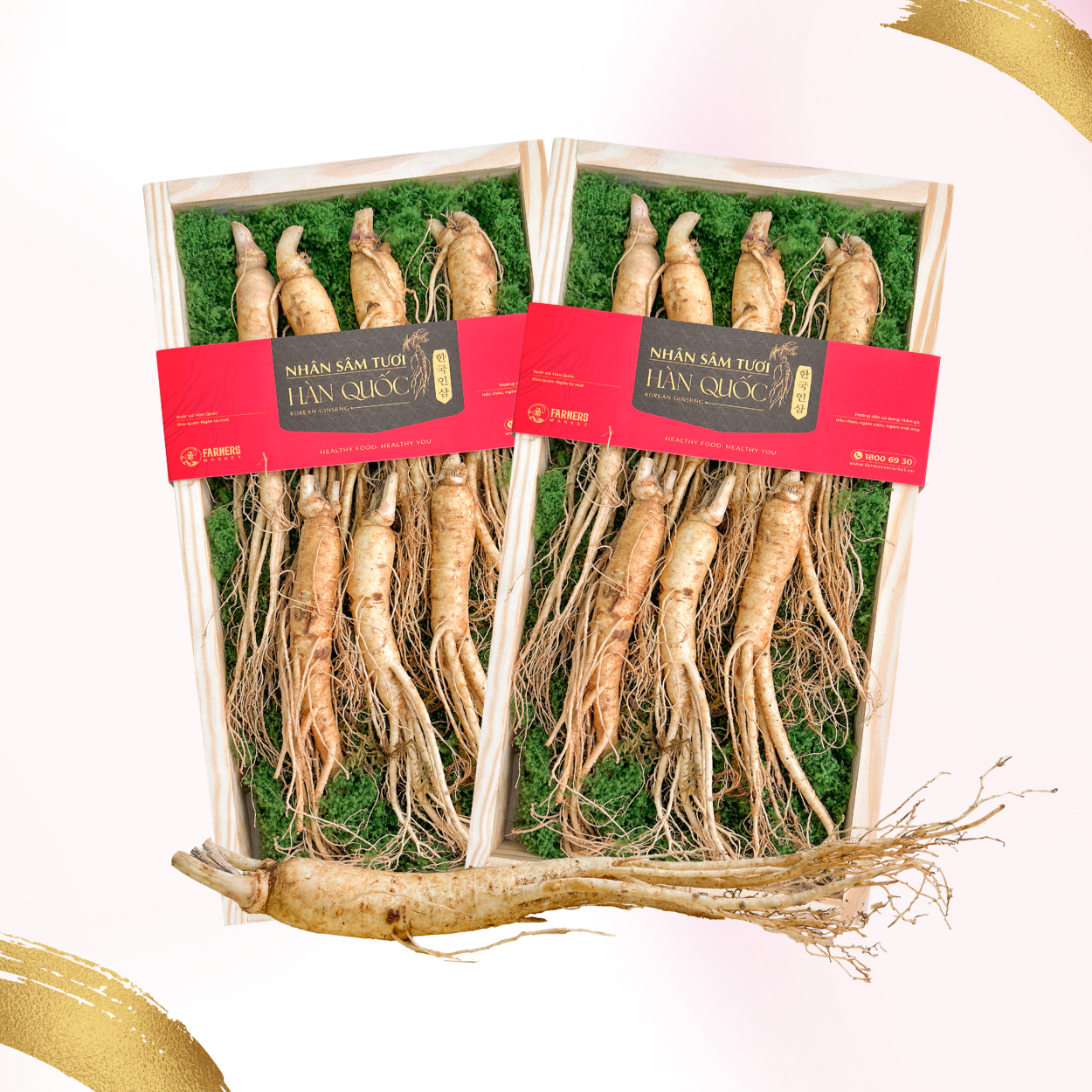  Hộp quà Nhân sâm Hàn Quốc 6 năm tuổi loại 33-55g (7củ) | I0016597 