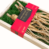  Hộp quà Nhân sâm Hàn Quốc 6 năm tuổi loại 135-155g (2củ) | I0016600 