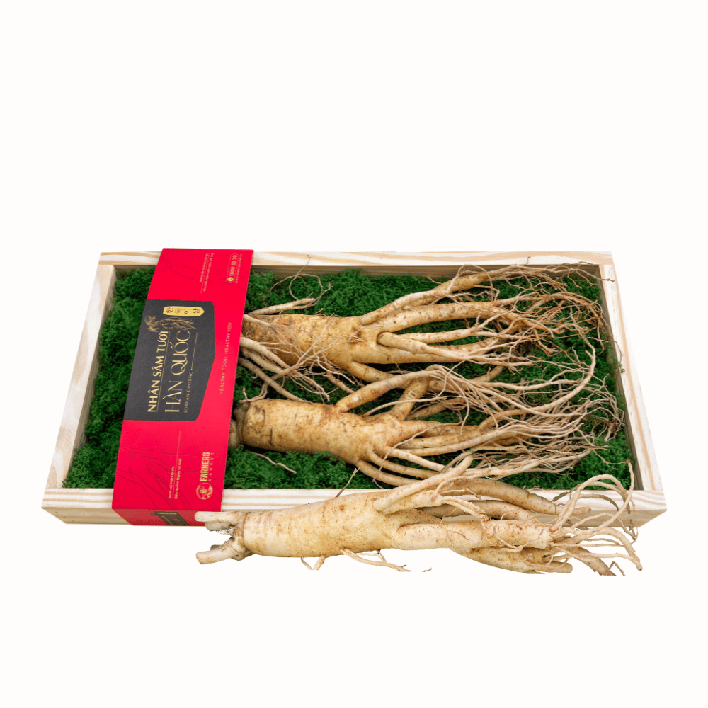  Hộp quà Nhân sâm Hàn Quốc 6 năm tuổi loại 135-155g (2củ) | I0016600 