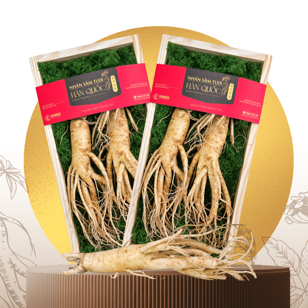  Hộp quà Nhân sâm Hàn Quốc 6 năm tuổi loại 135-155g (2củ) | I0016600 