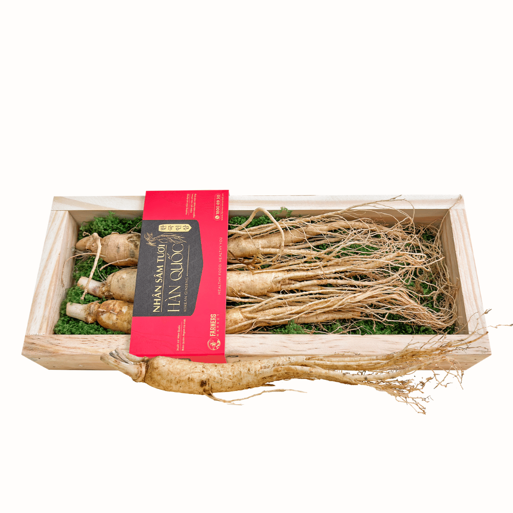  Hộp quà Nhân sâm Hàn Quốc 6 năm tuổi loại 33-55g (3củ) | I0016596 
