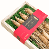  Hộp quà Nhân sâm Hàn Quốc 6 năm tuổi loại 33-55g (7củ) | I0016597 