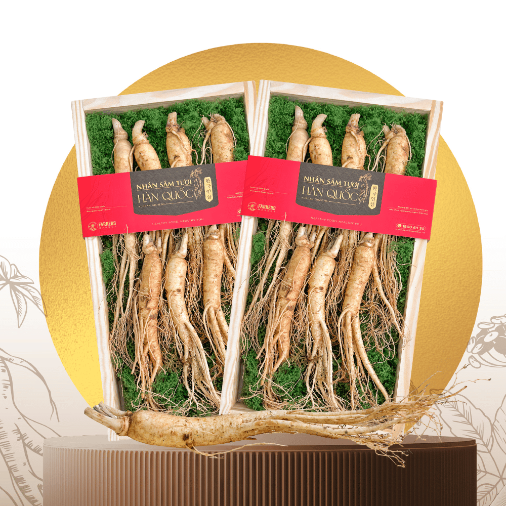  Hộp quà Nhân sâm Hàn Quốc 6 năm tuổi loại 33-55g (7củ) | I0016597 