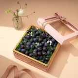  Hộp quà Nho đen tone hồng cơ bản 