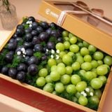  Hộp quà Nho xanh và Nho đen tone đỏ vàng tinh tế 