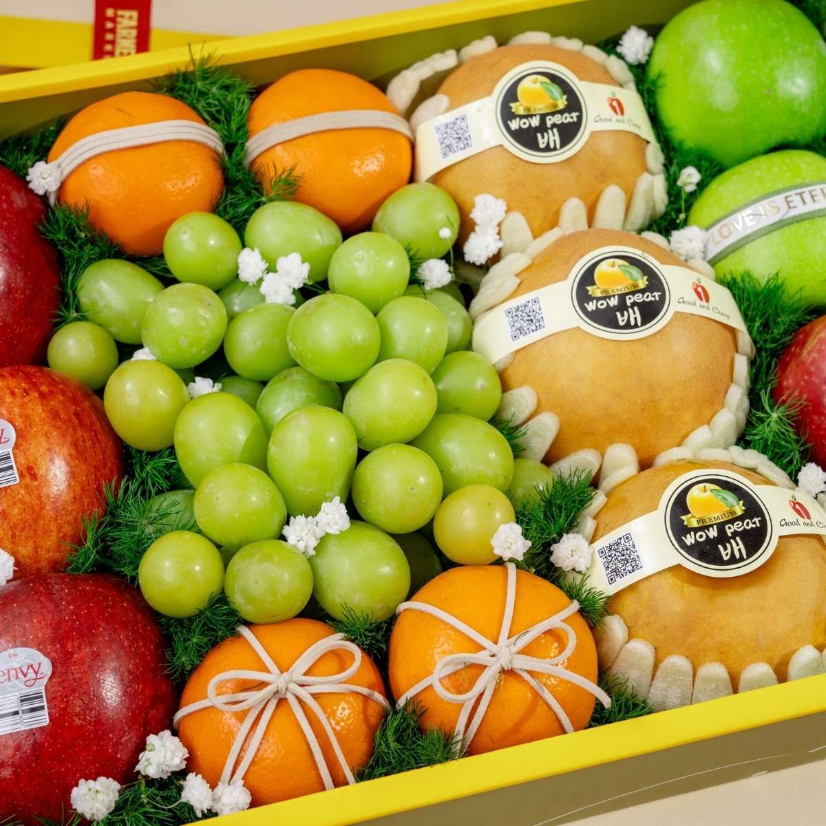  Hộp Quà Trái Cây Các Loại Tone Xanh Lá Thanh Lịch 