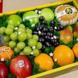  Hộp Quà Trái Cây Hỗn Hợp Tone Xanh Lá Thanh Lịch 