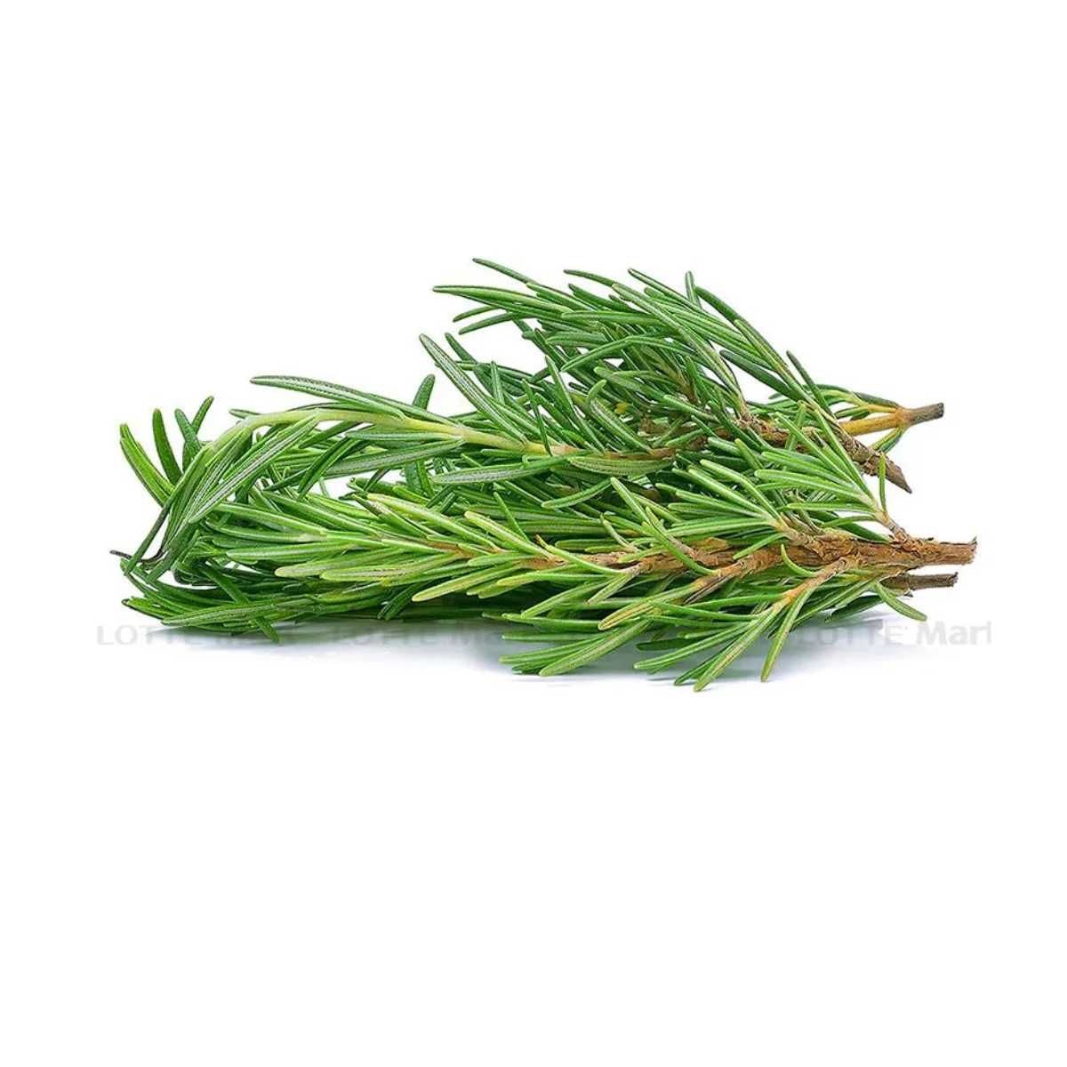  Hương Thảo Thạch Điền 50 g (I0013736) 