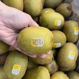  Kiwi vàng hữu cơ New Zealand 