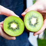  Kiwi xanh New Zealand 