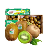  Kiwi xanh New Zealand 