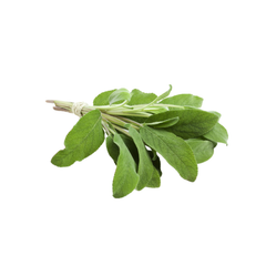 Lá xô thơm Thạch Điền 20 g