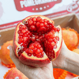  Lựu hồng nội địa Trung (I0010338) 