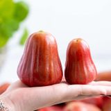  Mận đỏ An Phước - 500G (I0004859) 