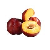  Mận đỏ ruột vàng September Candy Úc 