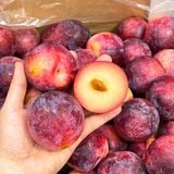  Mận đỏ ruột vàng September Candy Úc 