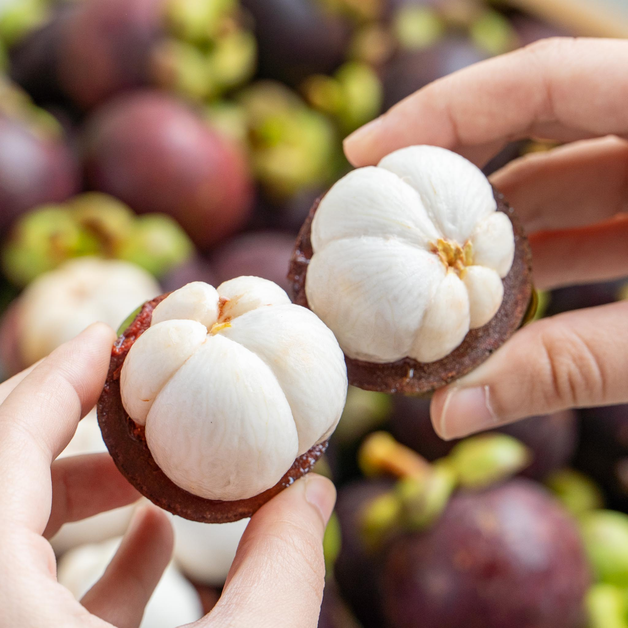  Măng cụt Thái Lan - 500G (I0004586) 