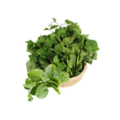 Mồng tơi An toàn Bio Ngon Farmers Market