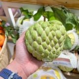  Na dai Thái (I0004860) 