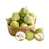  Na dai Thái (I0004860) 