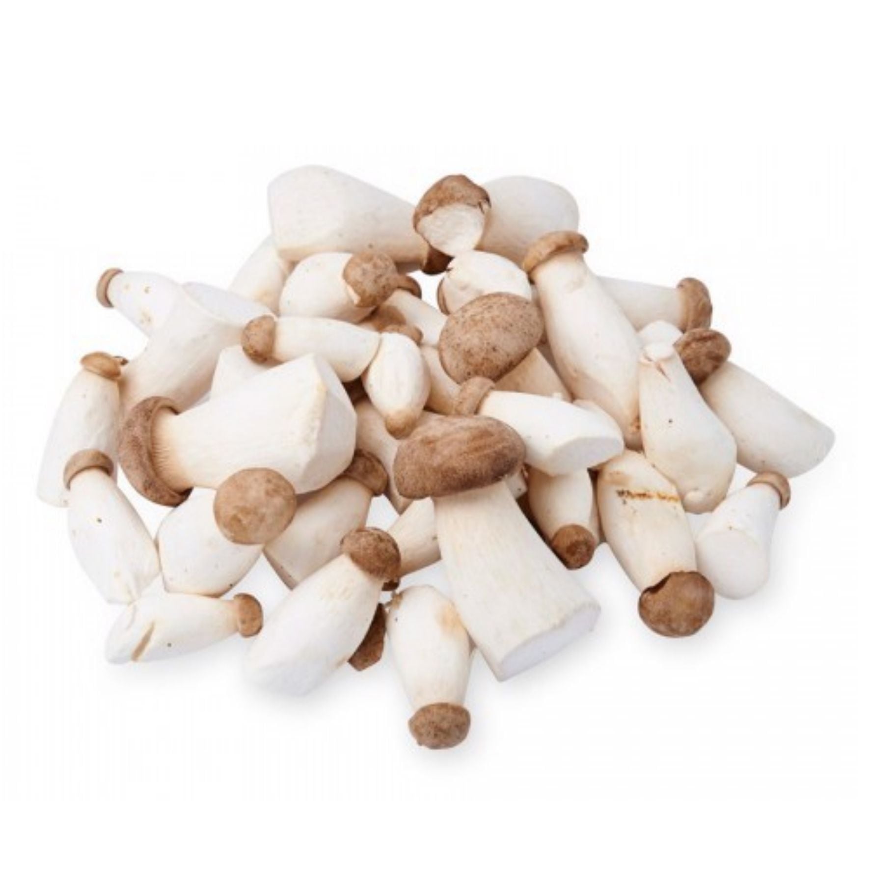  Nấm đùi gà baby Bắc Âu 