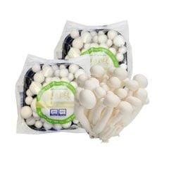Nấm linh chi trắng Hàn Quốc
