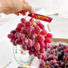 Nho đỏ Crimson Úc