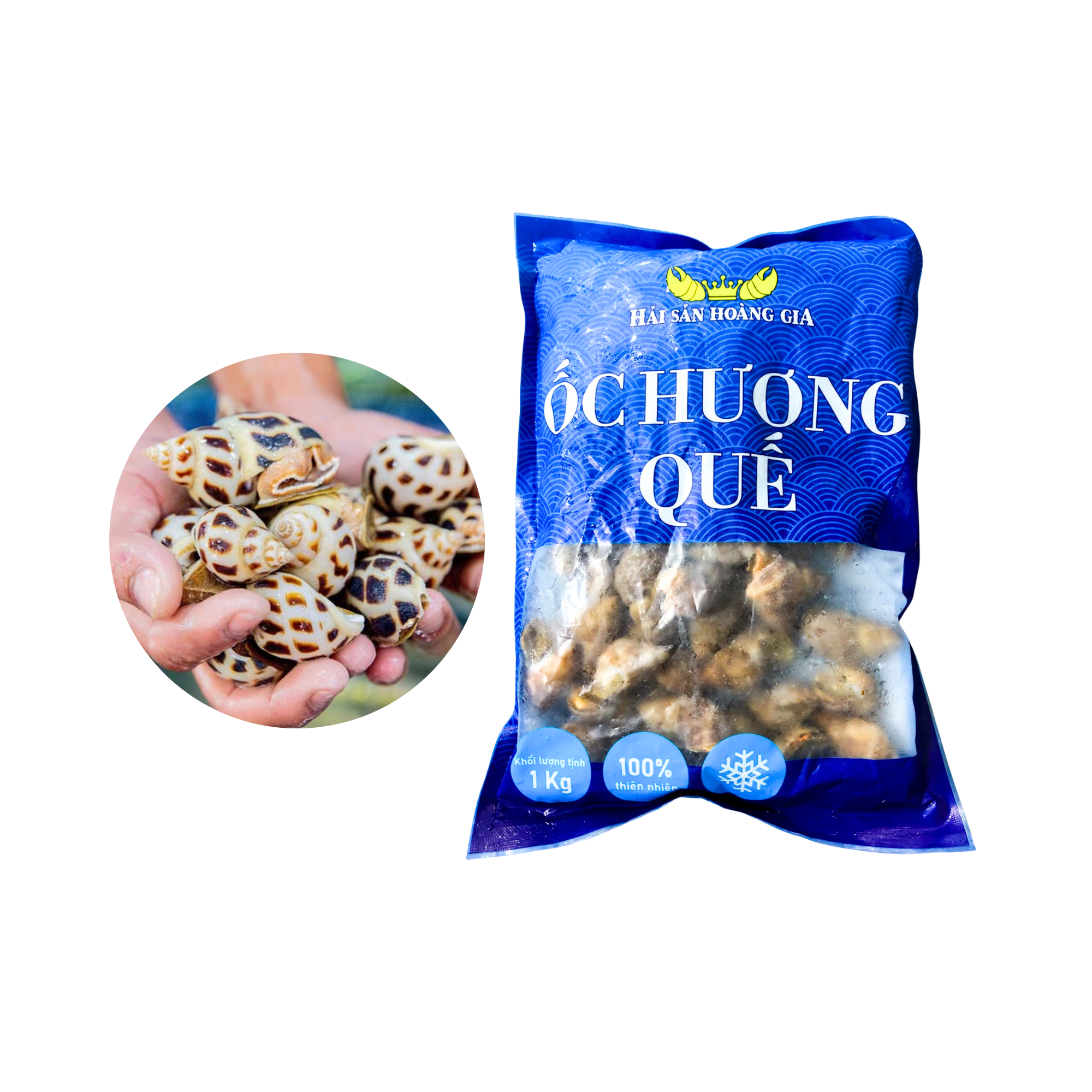  [Đông lạnh] Ốc hương quế Ấn Độ HG 1kg (Size 50 - 80 con/kg) - I0015435 