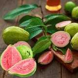  Ổi Ruby ruột đỏ - 1KG (I0004833) 