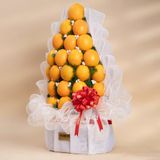  Tháp Cam Tone Trắng Sang Trọng 