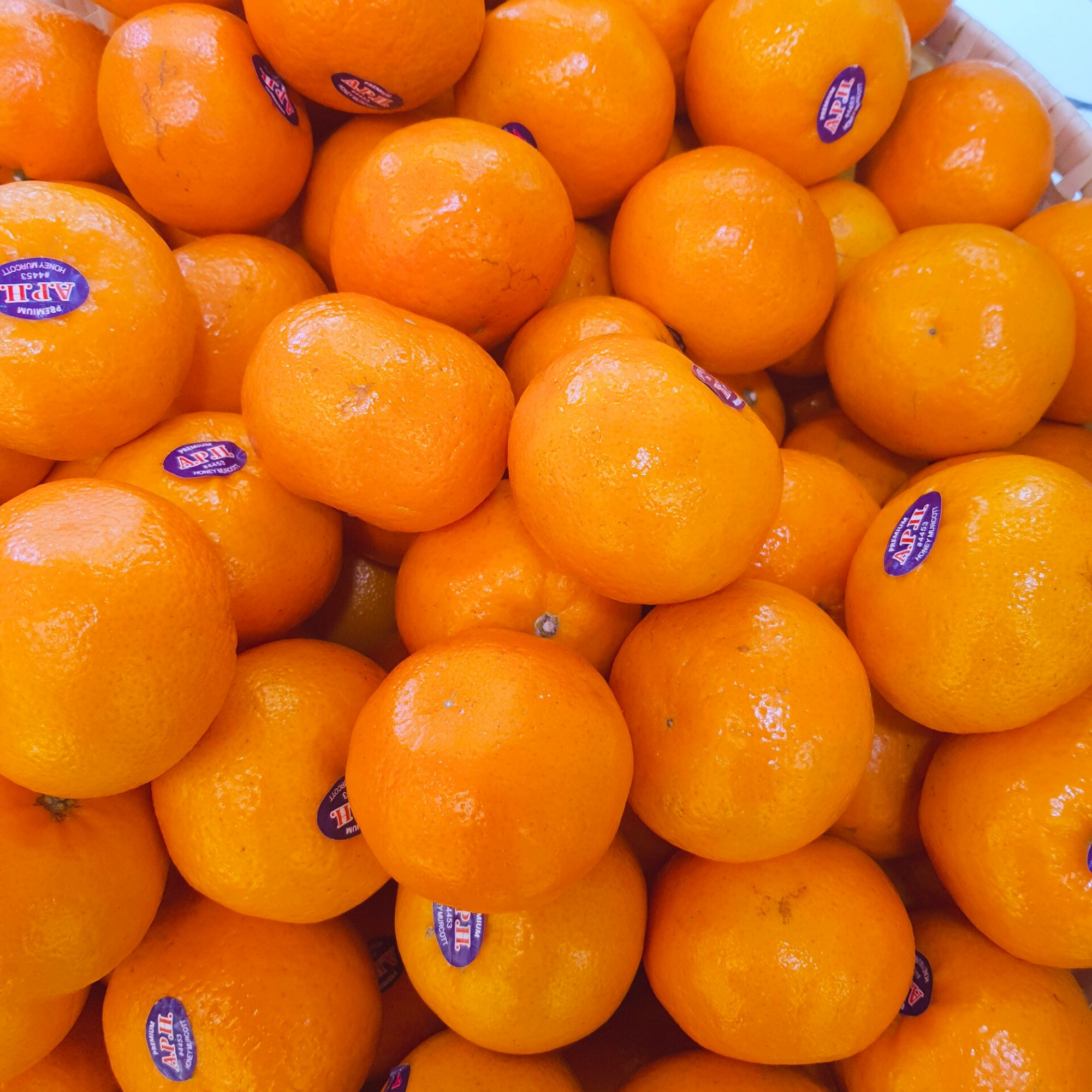  Quýt nội địa Trung size M (I0011594) 