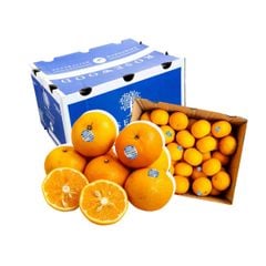 Quýt Úc Size M (500G) (I0004608)