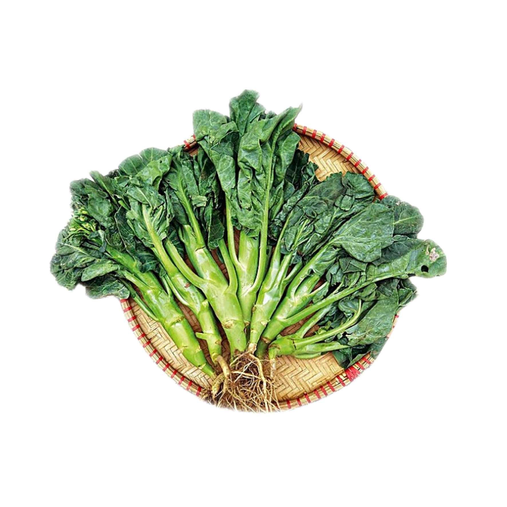  Rau cải rổ chuẩn an toàn quốc tế 
