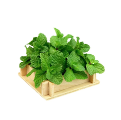 Húng lủi Vietgap Bio Ngon 100 g (I0013763)