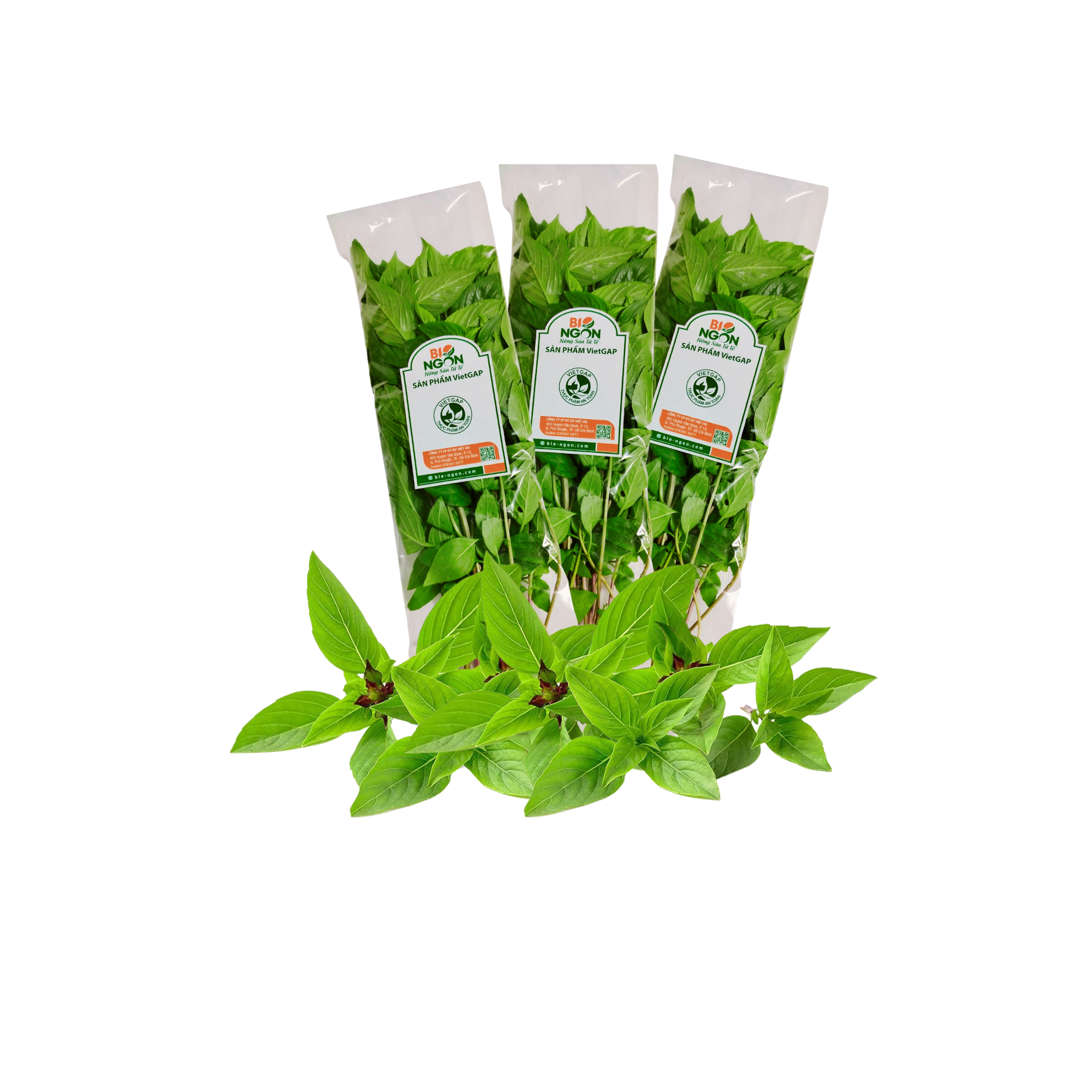  Rau quế Vietgap 100G 